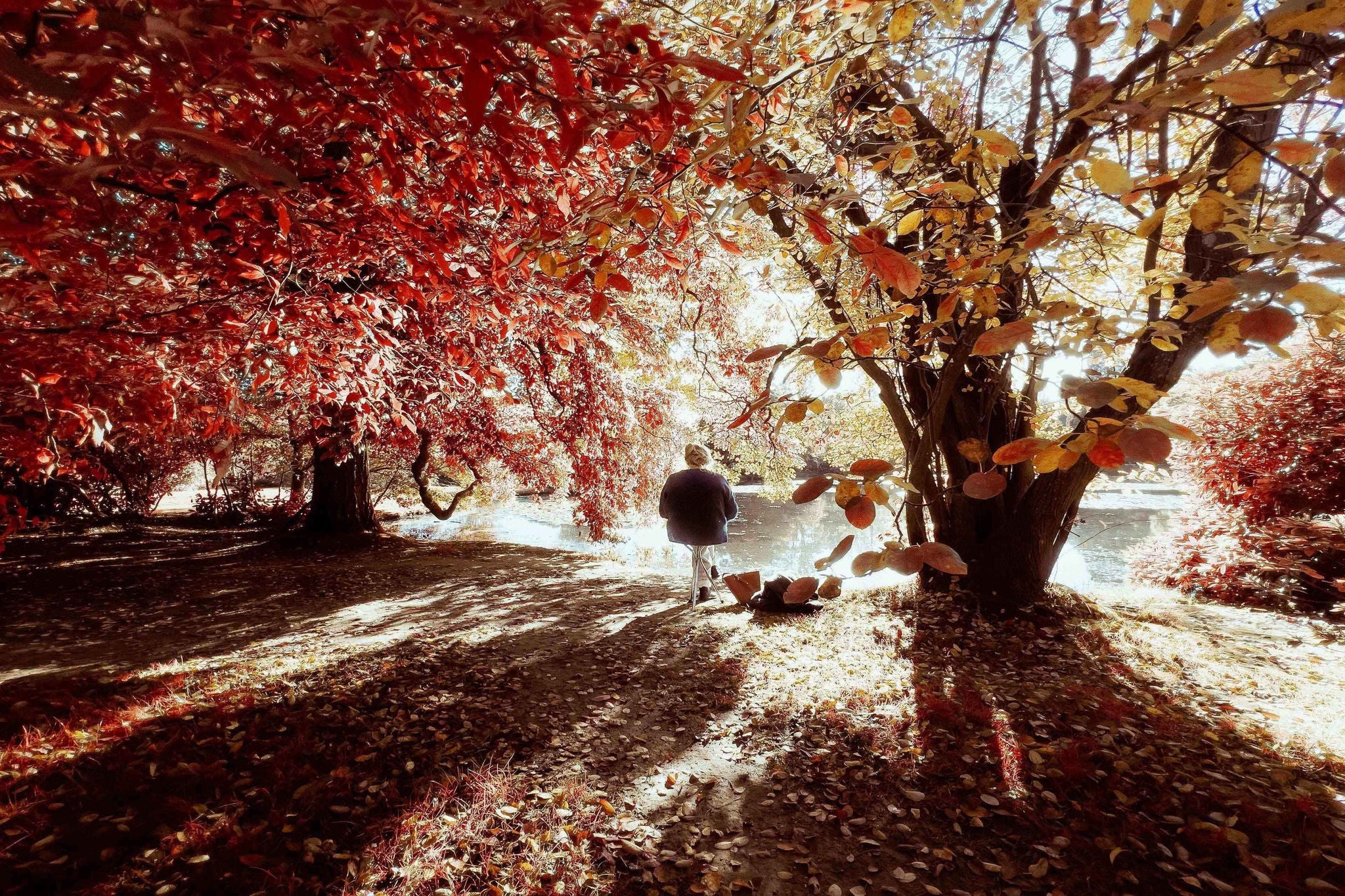 Photograph of a woman sitting under trees near a body of water