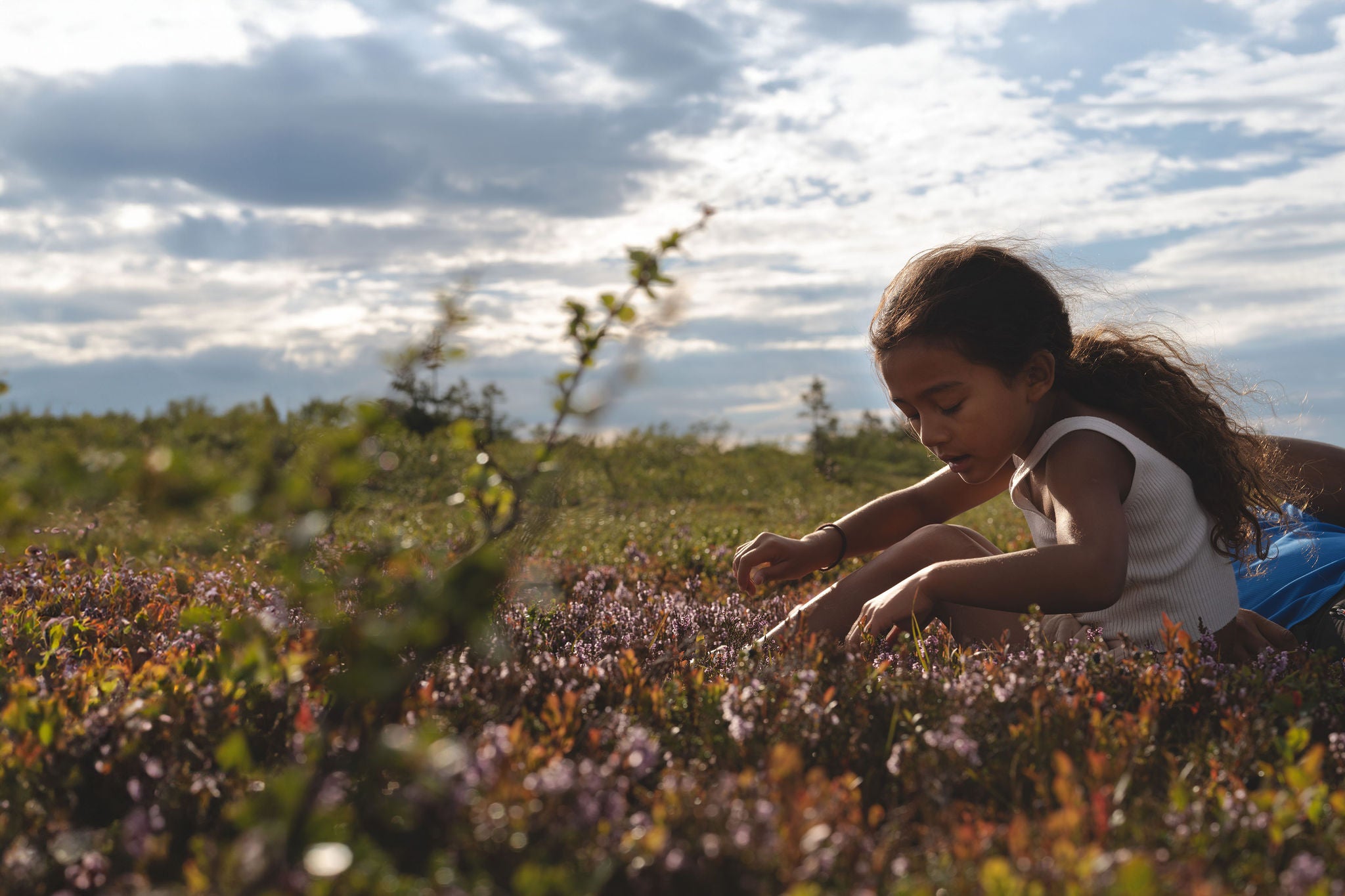 Little girl sat in field of flowers