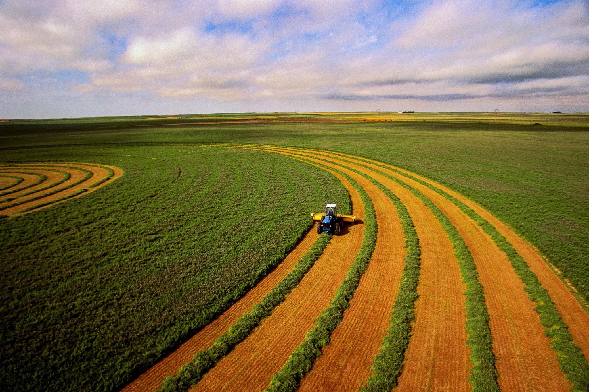 How The Agriculture Sector Adopted Climate-related Disclosures | EY ...