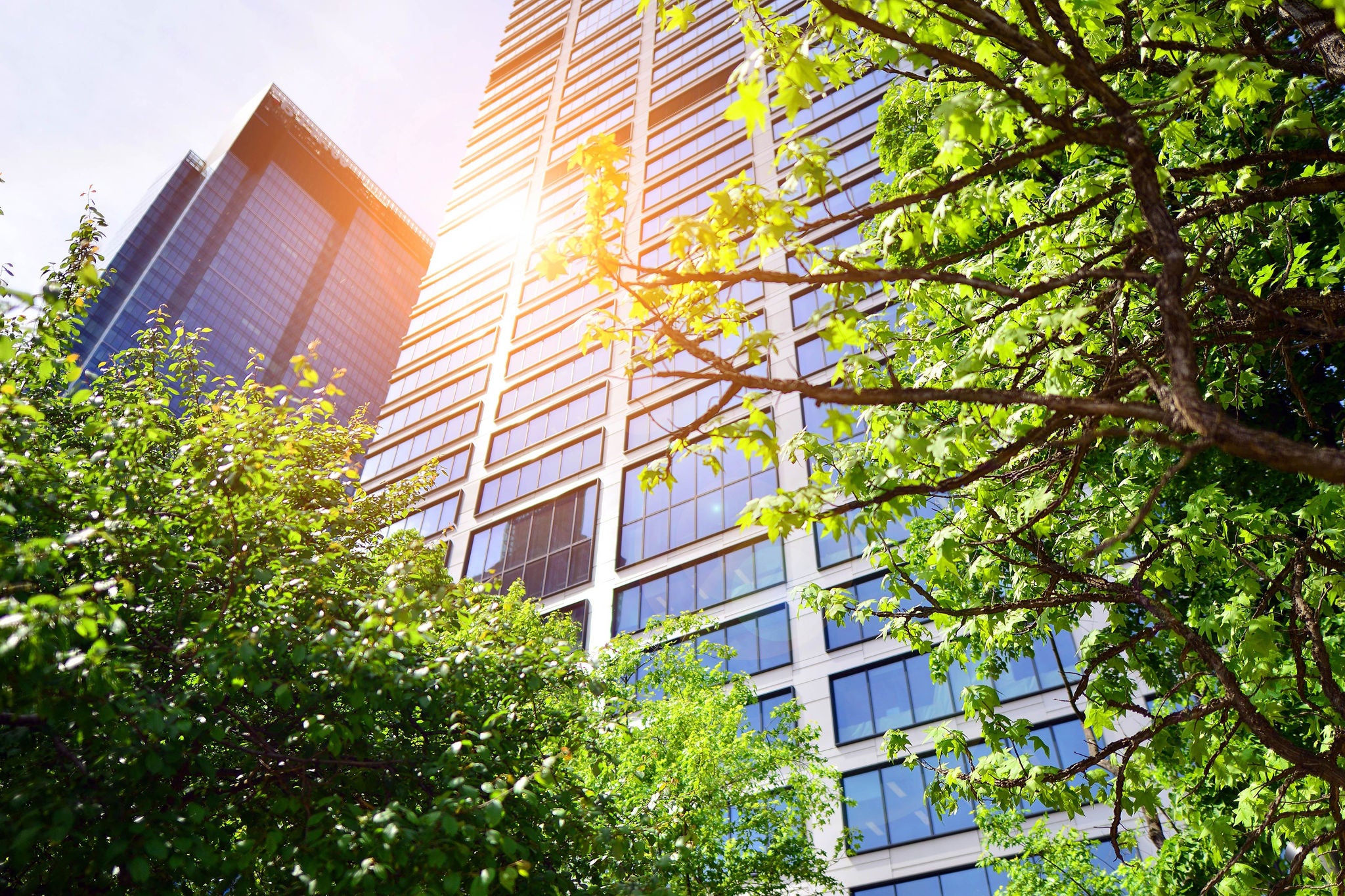 Glass building and trees