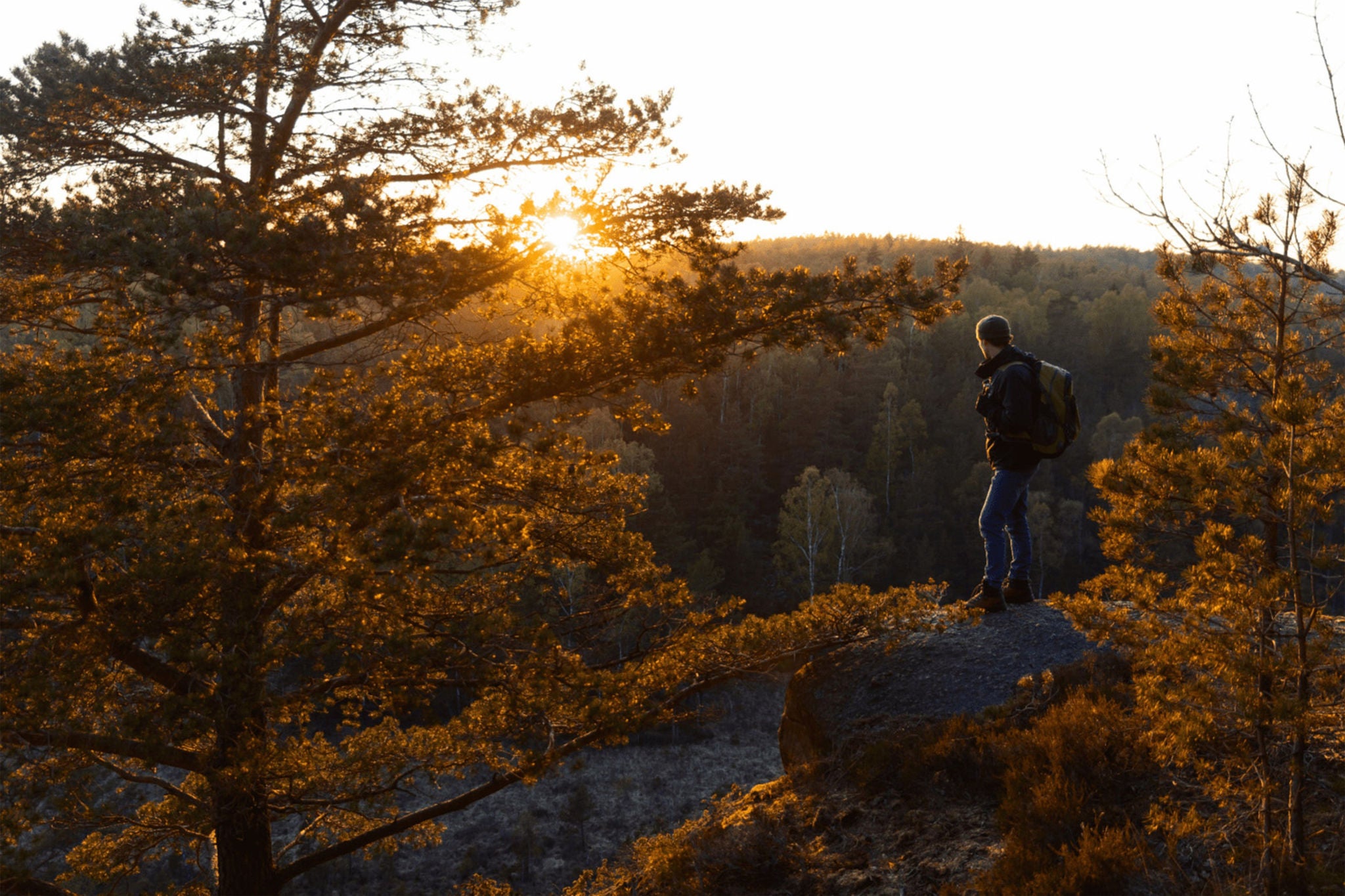 A man with a backpack standing on a rock in the forest at sunset