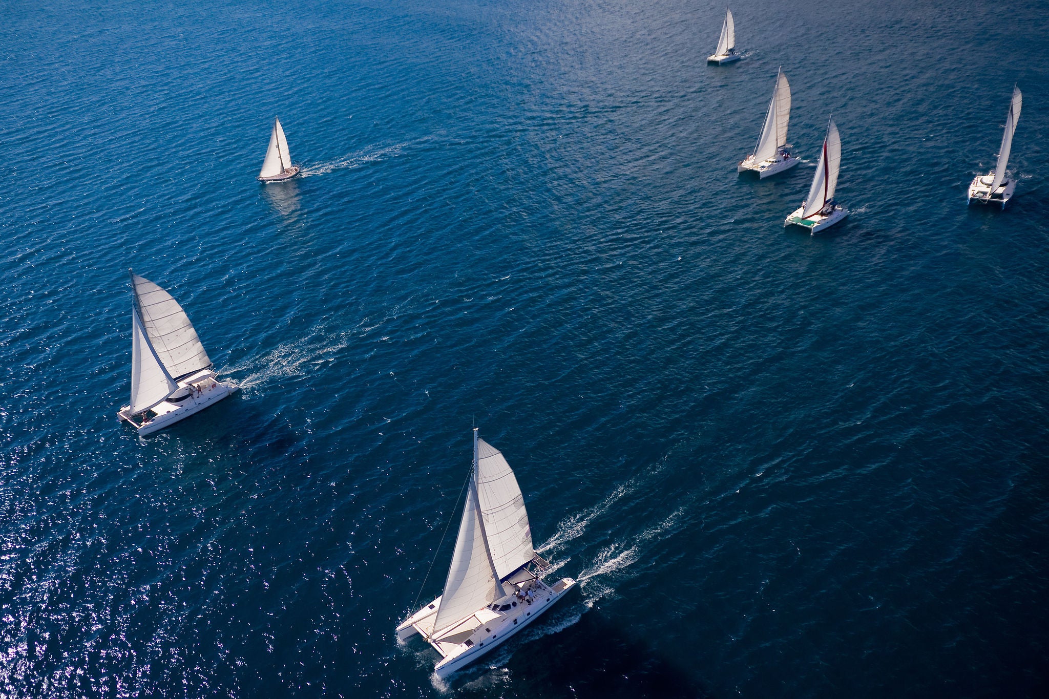 Regatta in the Indian Ocean, monohulls and catamarans