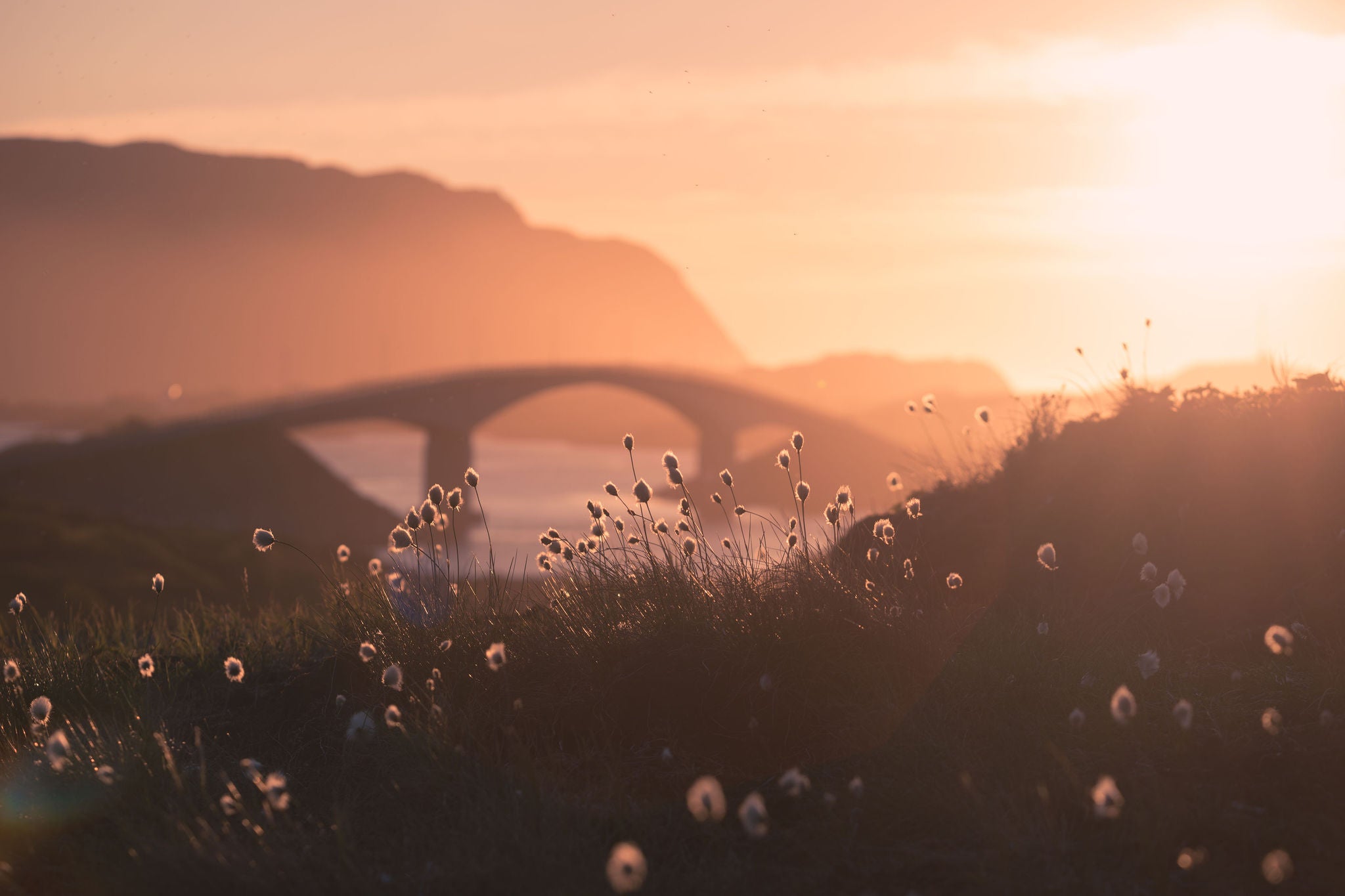 The Fredvang Bridges in the setting sun, Lofoten, Norway