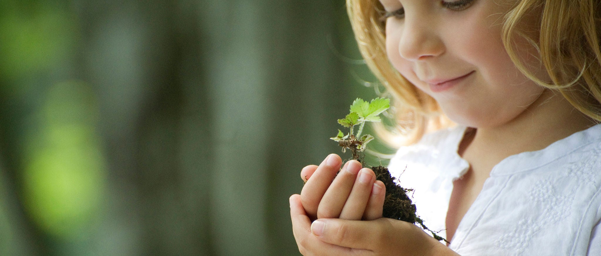 Girl Holding Seedling