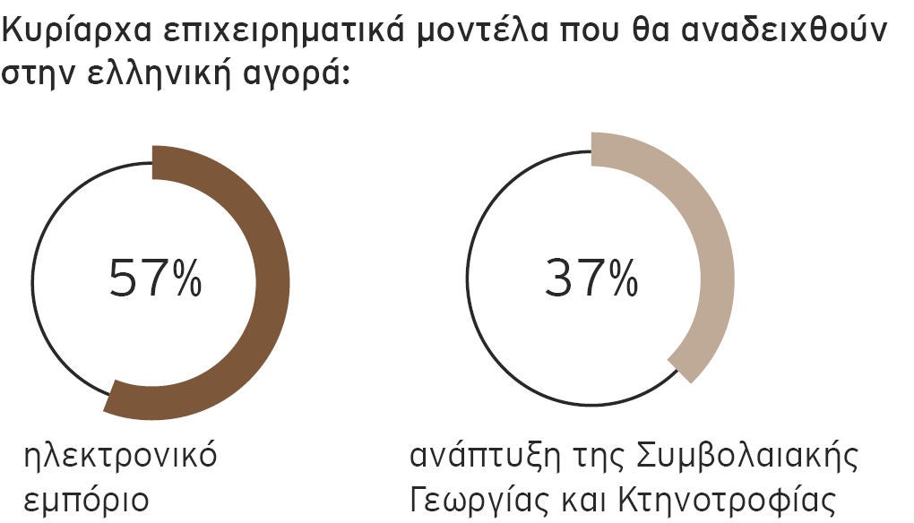 Pie chart 3