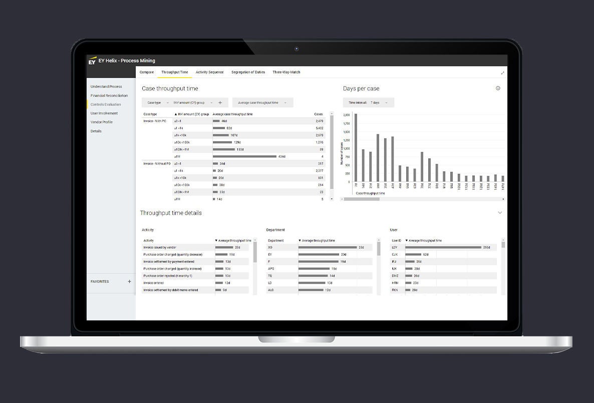 EY Easy Process Assessment Screenshot 2