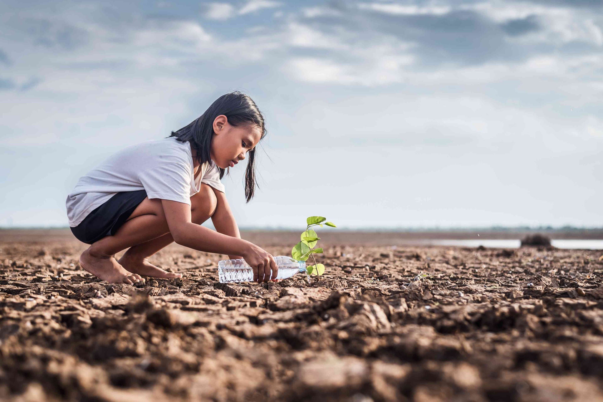 Asian girl watering green plant in dry land