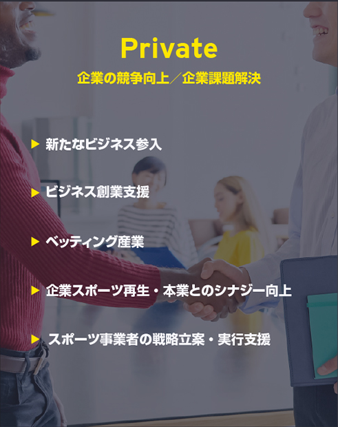 sports-business-section3-private