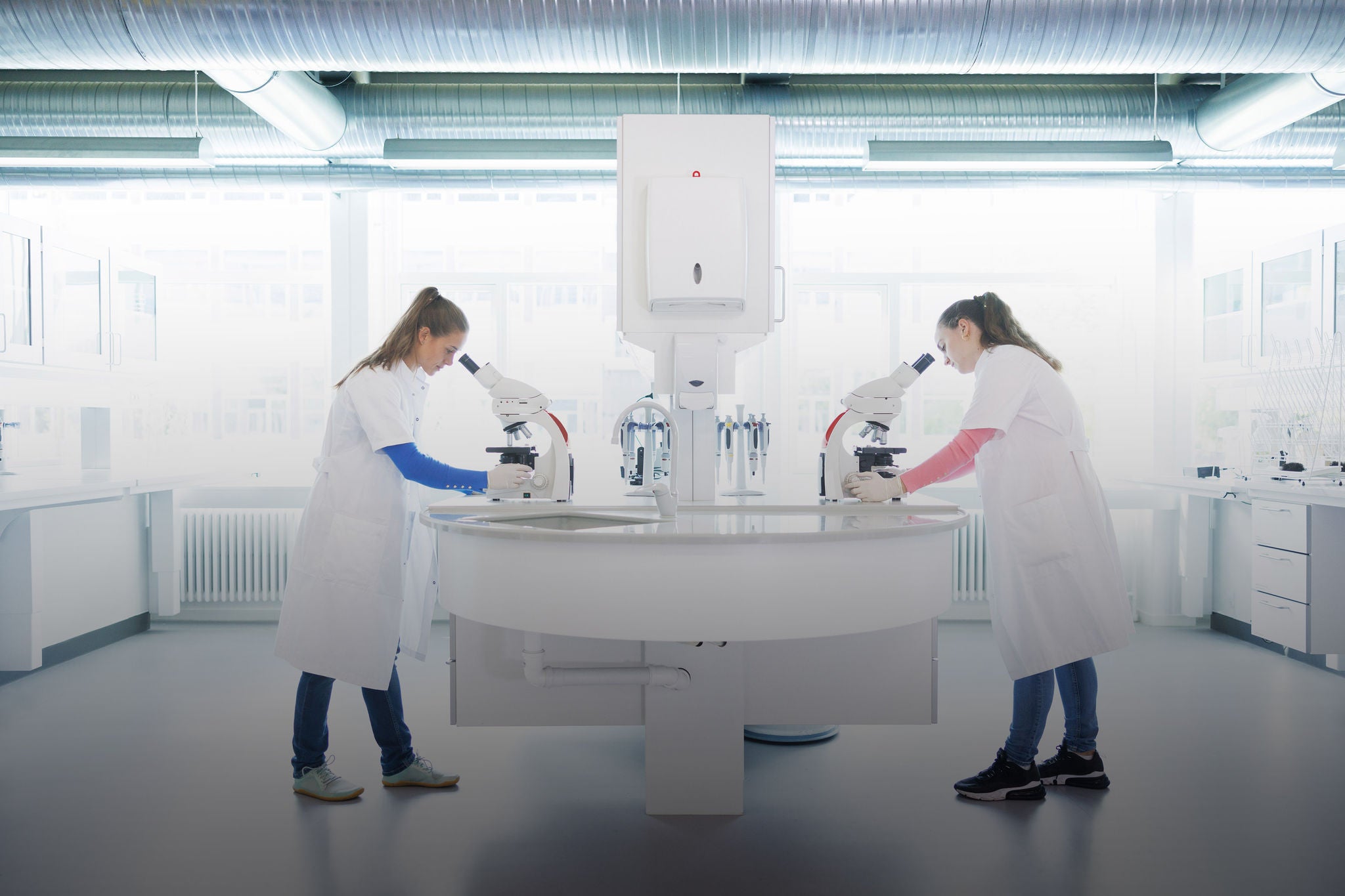 Two scientists standing in laboratory