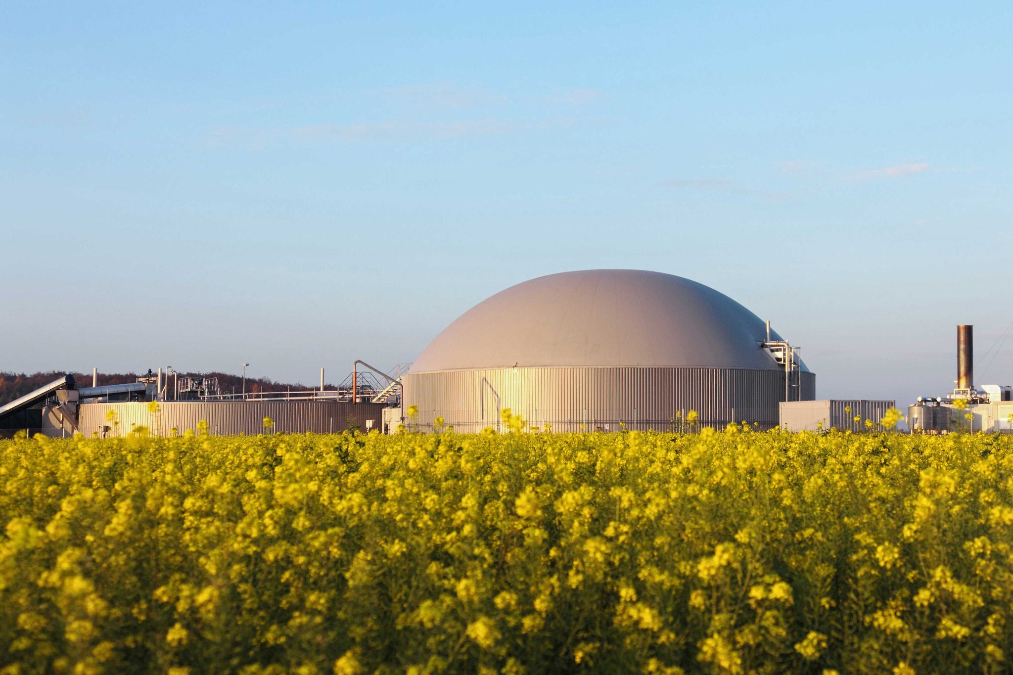 Biogasanlage und Generator in Rapsfeld