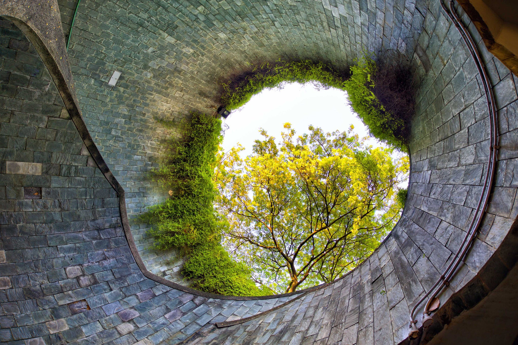 Fort Canning Park Tunnel in Singapore