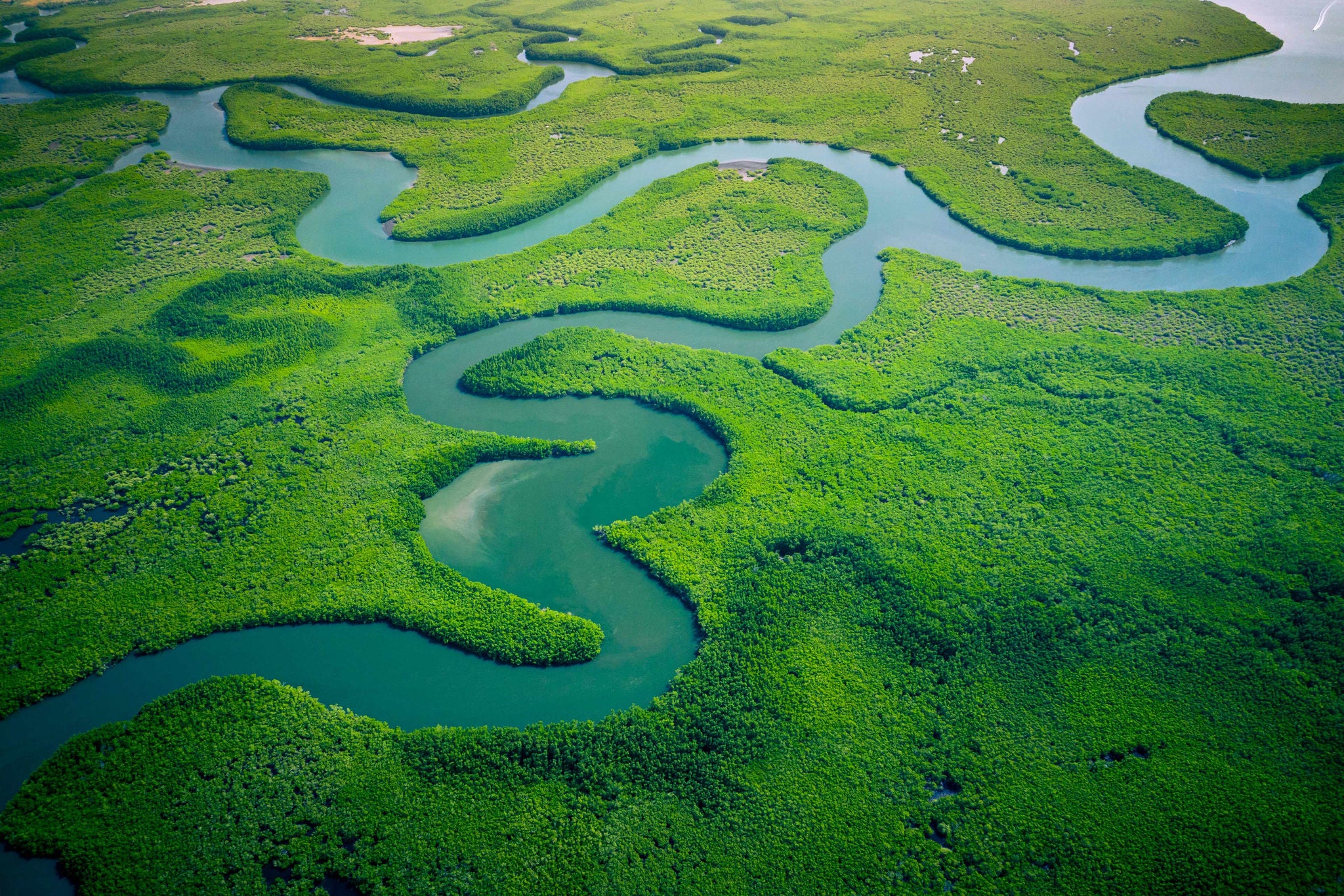 upper view of river