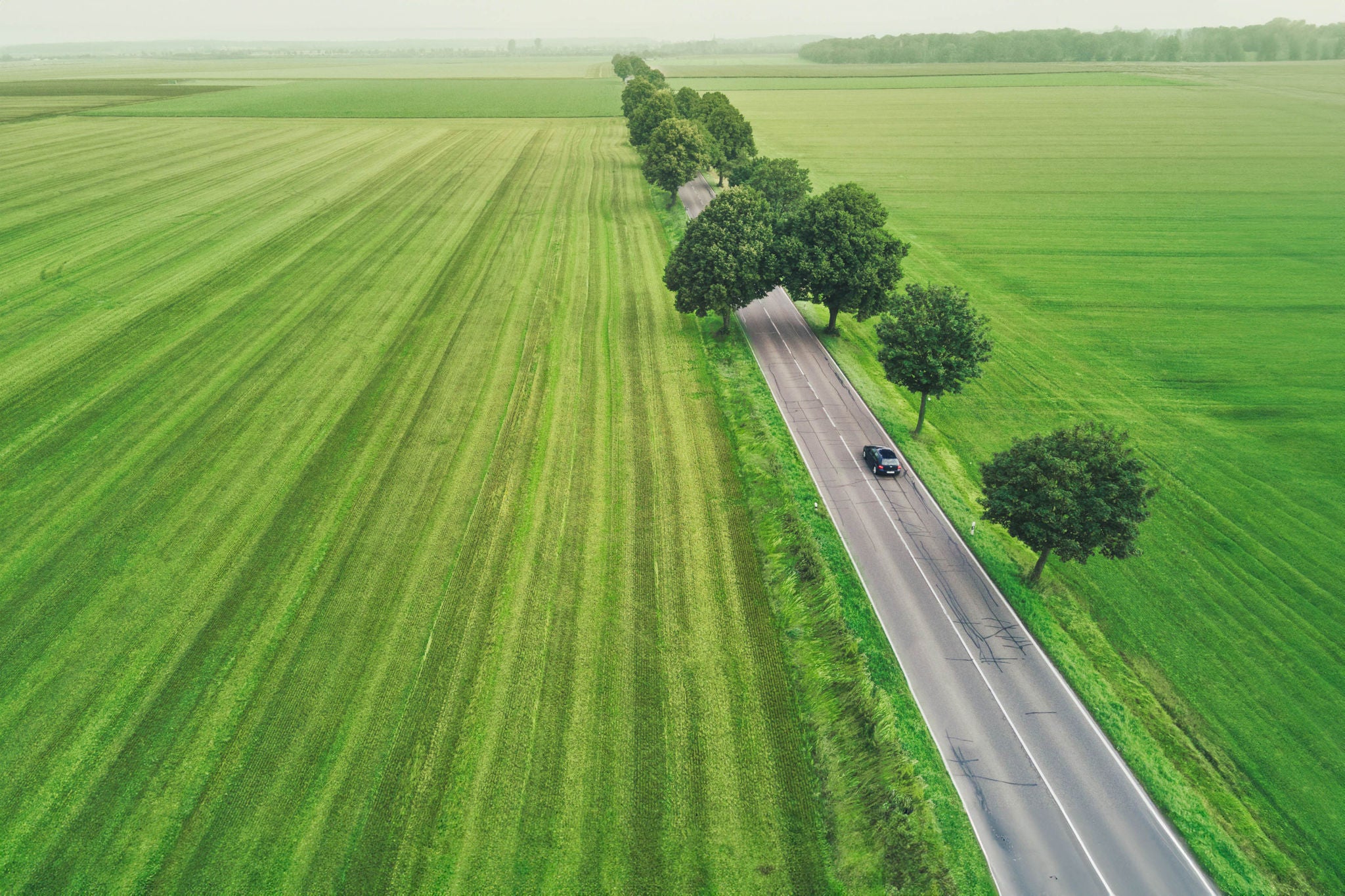 ey aerial view electric vehicle covered with tress