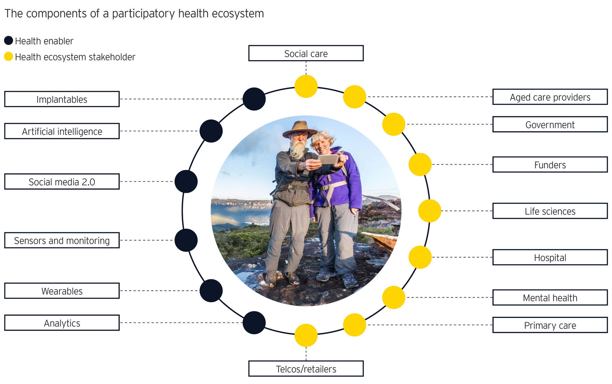 Health eco system