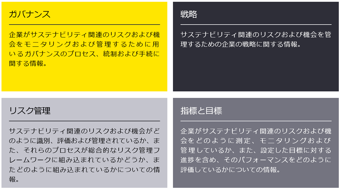 4つのコアとなる要素（ガバナンス、戦略、リスク管理、指標と目標）