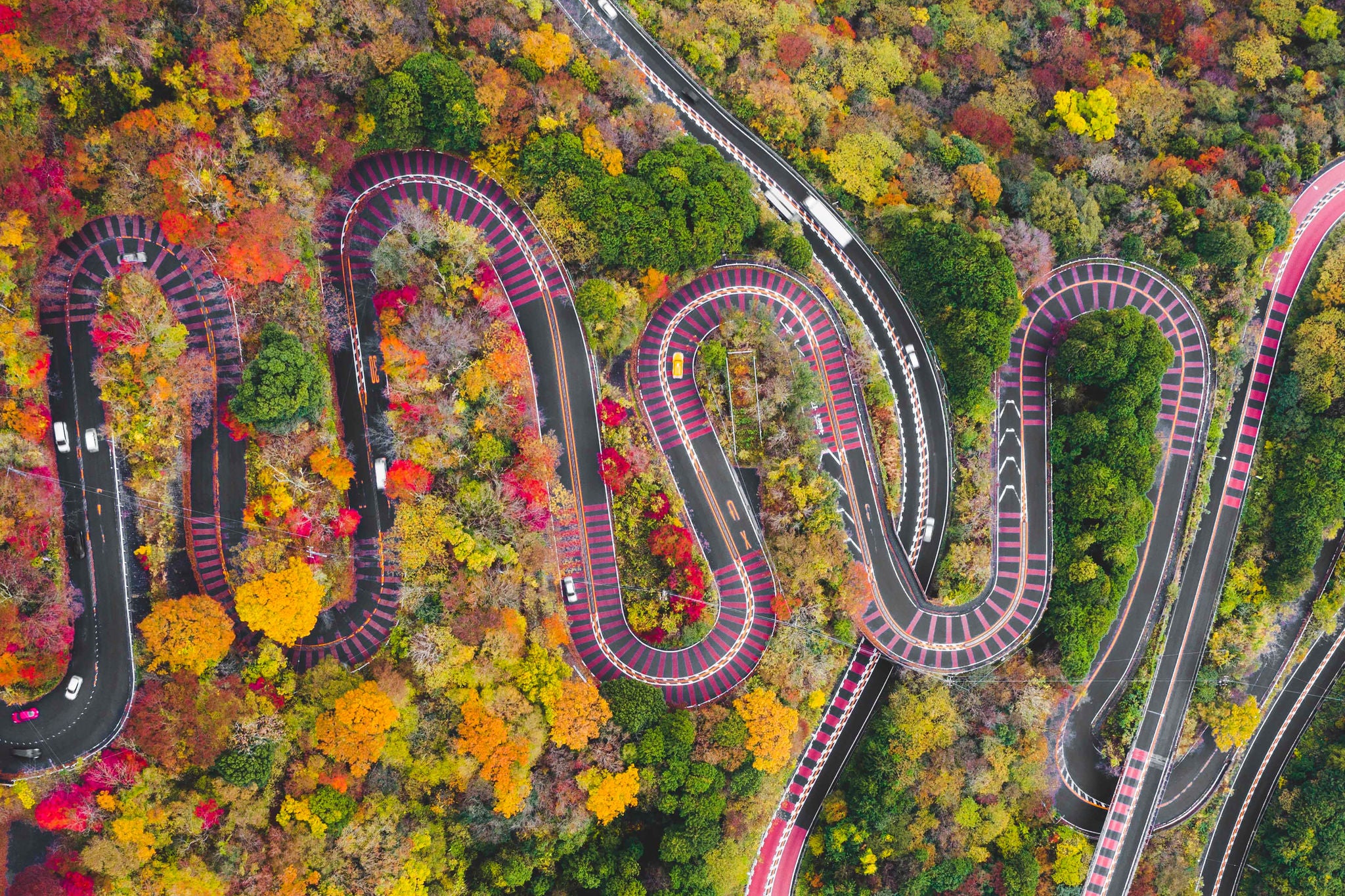 Aerial view of the sinuous curves of a scenic mountain road in Fuji-Hakone Izu National Park in autumn, Japan