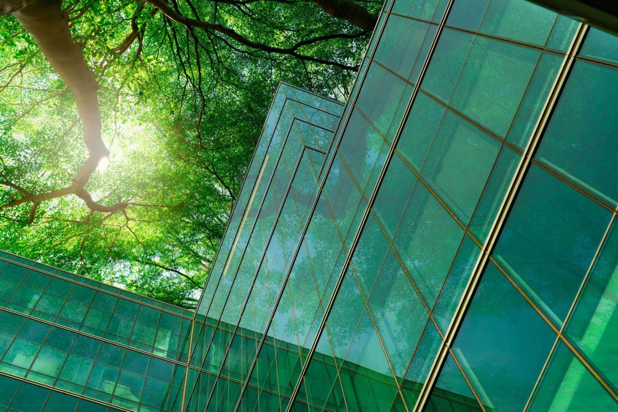 Vue du bâtiment en verre au milieu des arbres