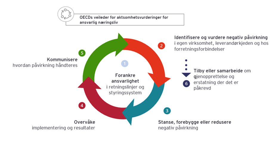 EY Life Cycle