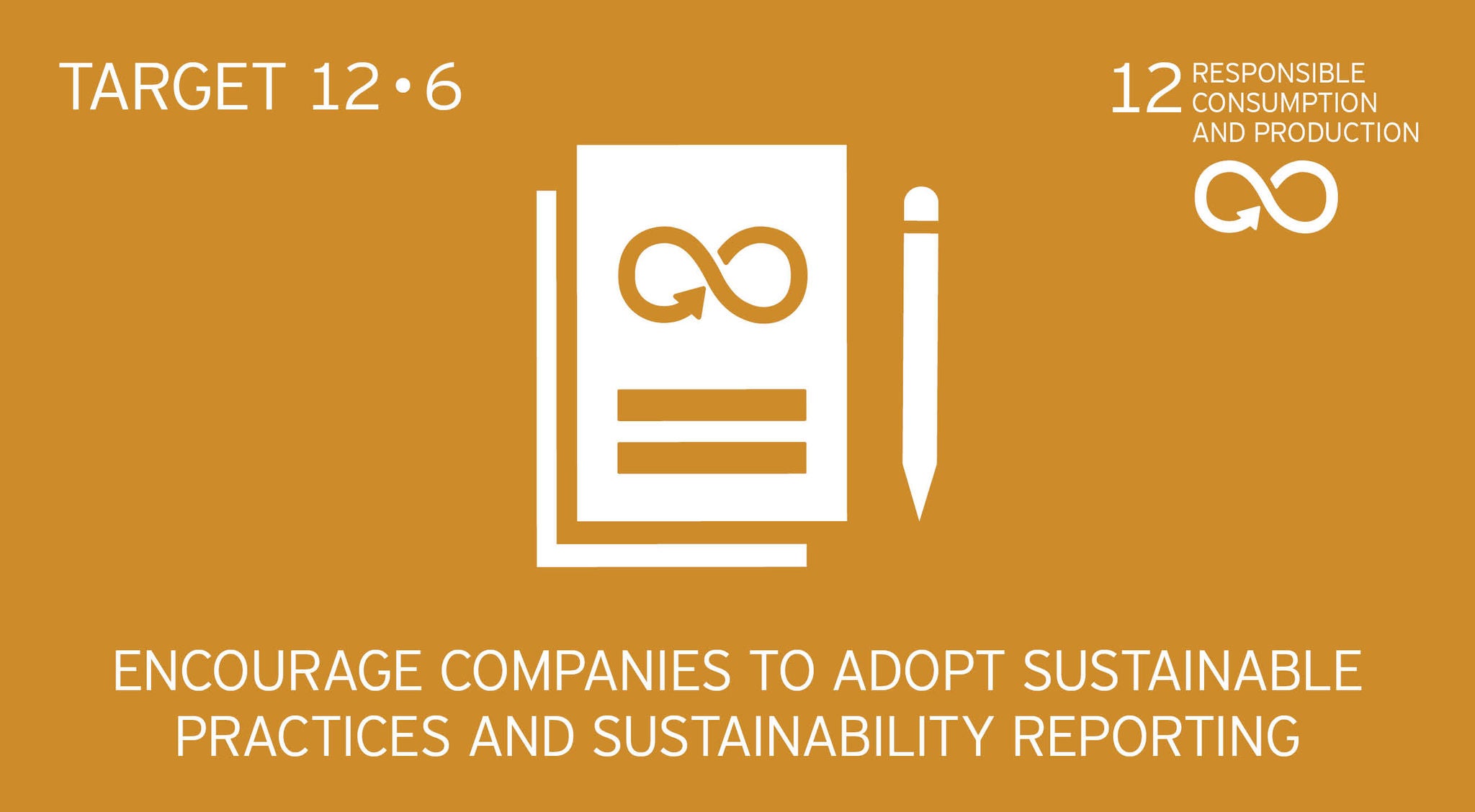 Icon - target 12.6 - encourage companies to adopt sustainable practices and sustainability reporting