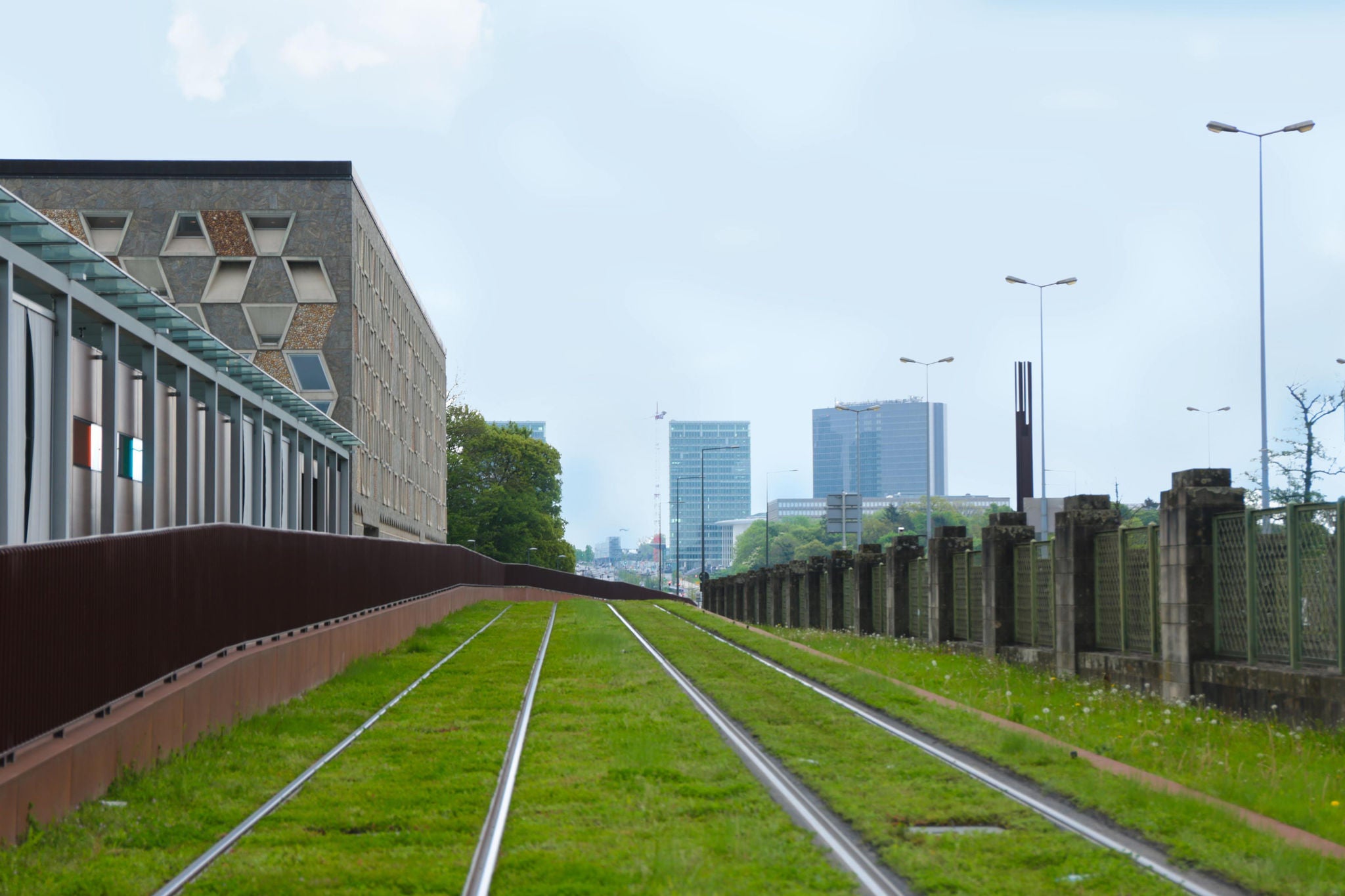 Green lawn walkway behind building