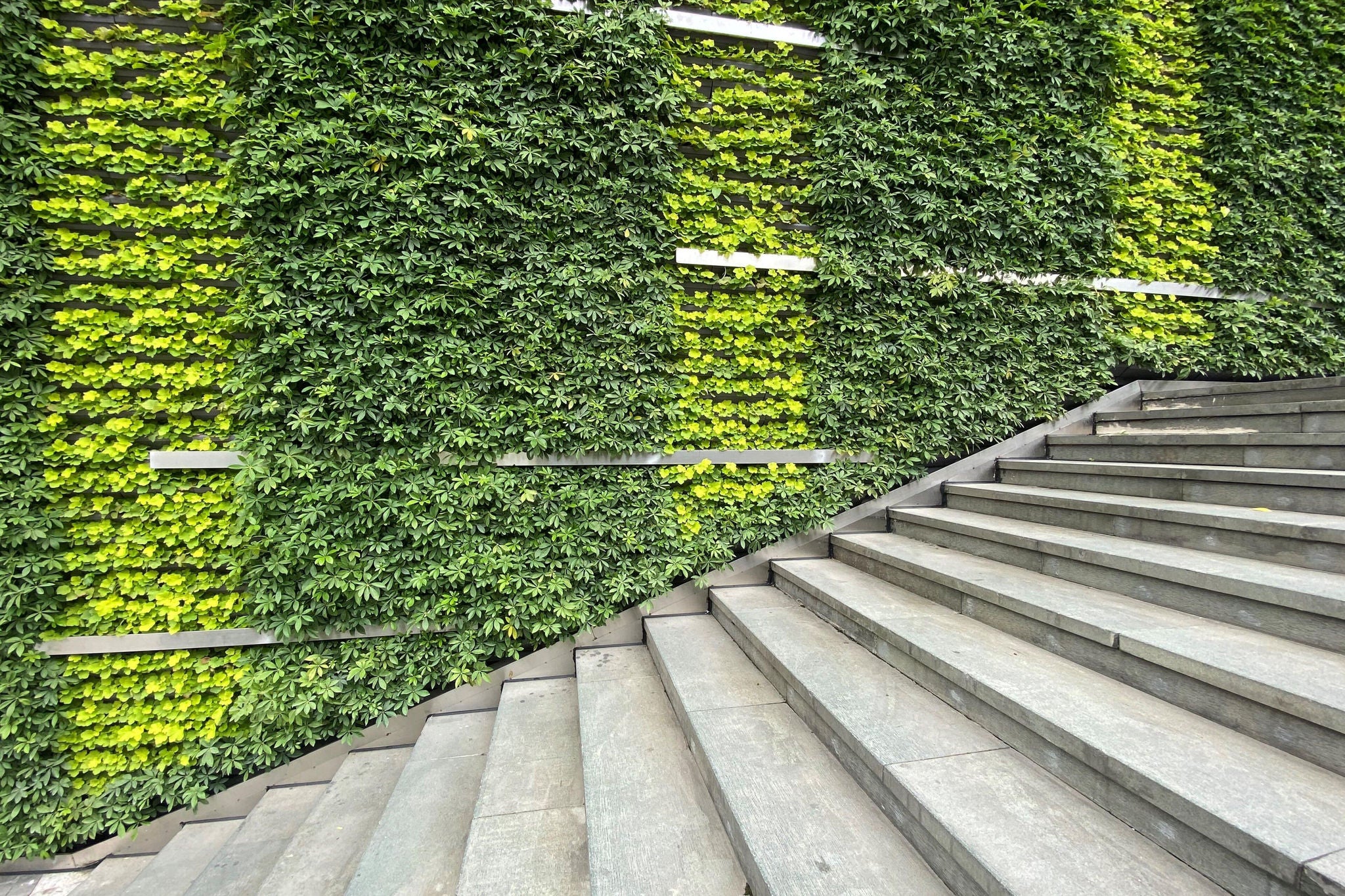 Zoomed image of outdoor stairs