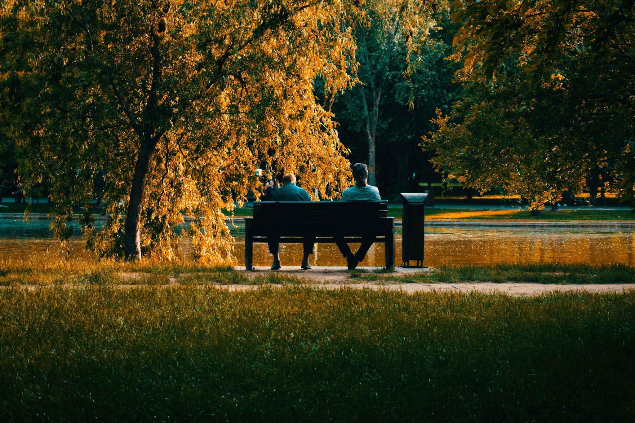 EY size photos - people-on-the-bench