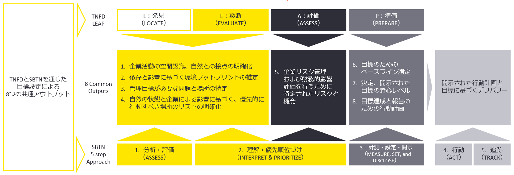 図2　目標設定におけるTNFDとSBTNの連携