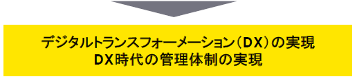 デジタルトランスフォーメーション（DX）の実現