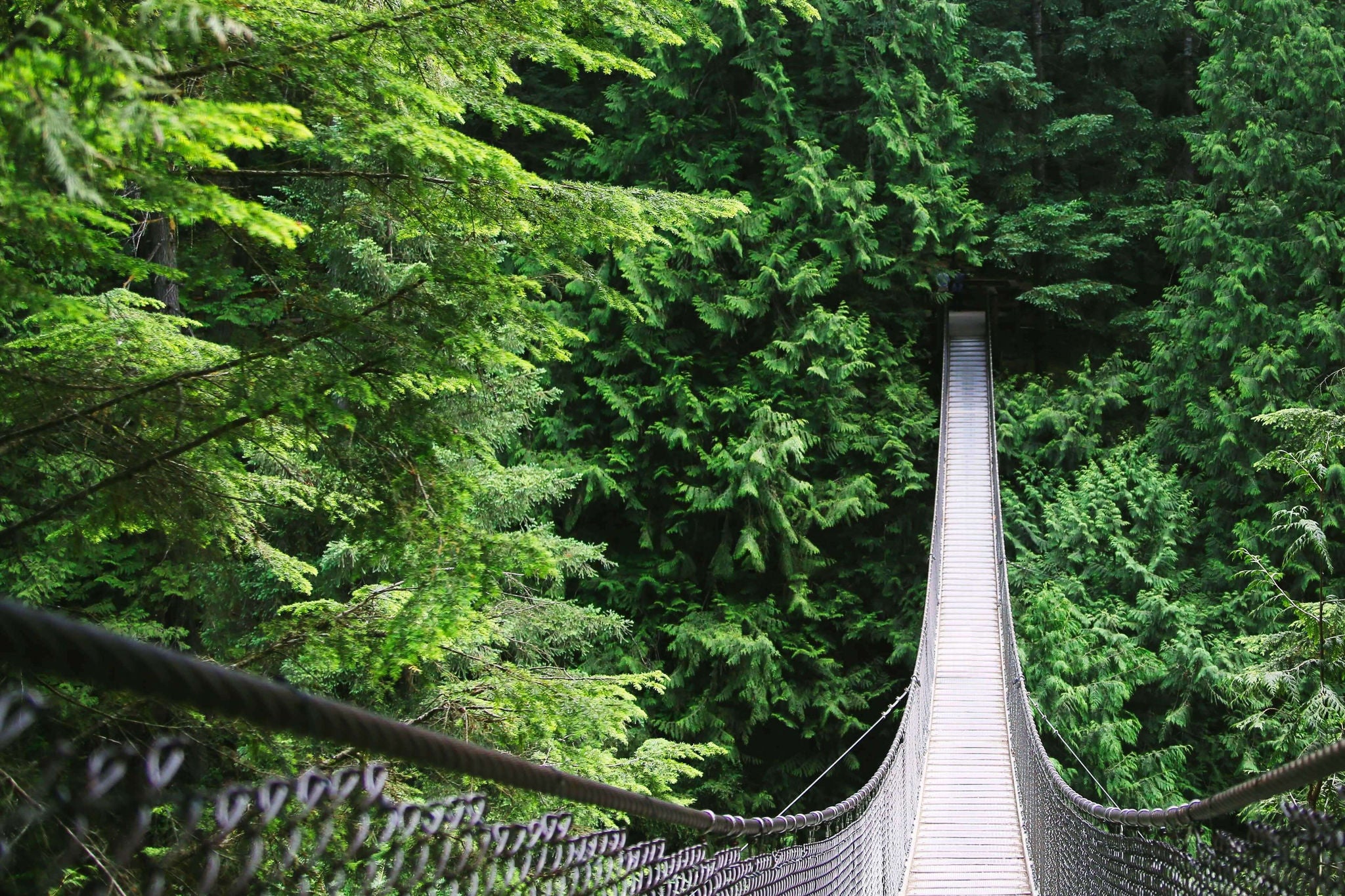 EY - suspension bridge