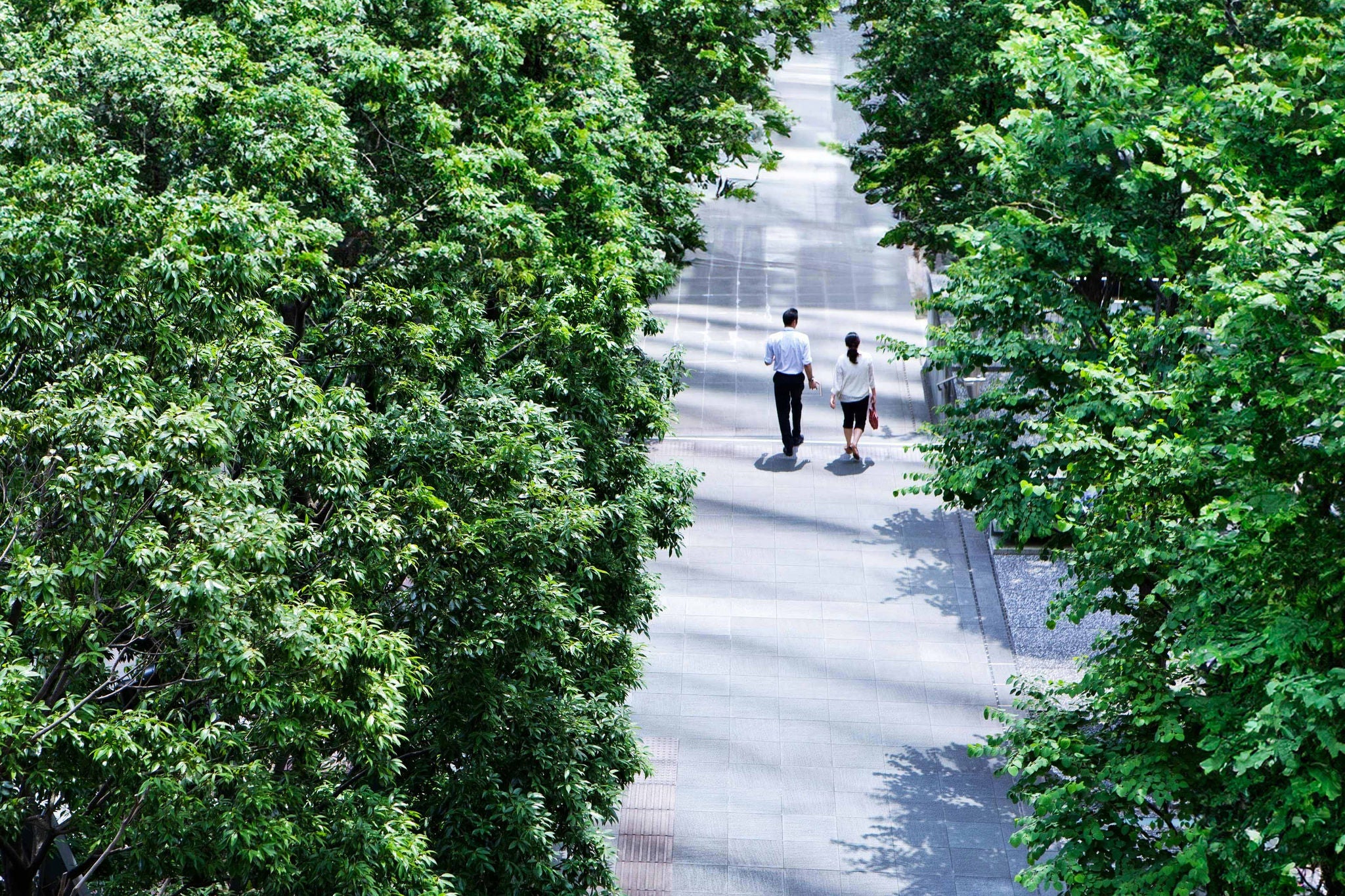 Business district and green