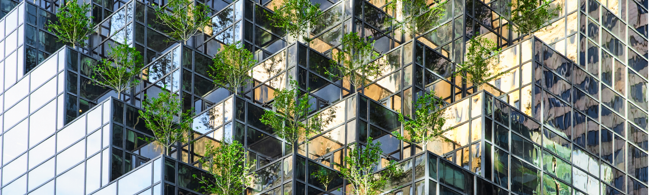 Trees installation on a skyscraper