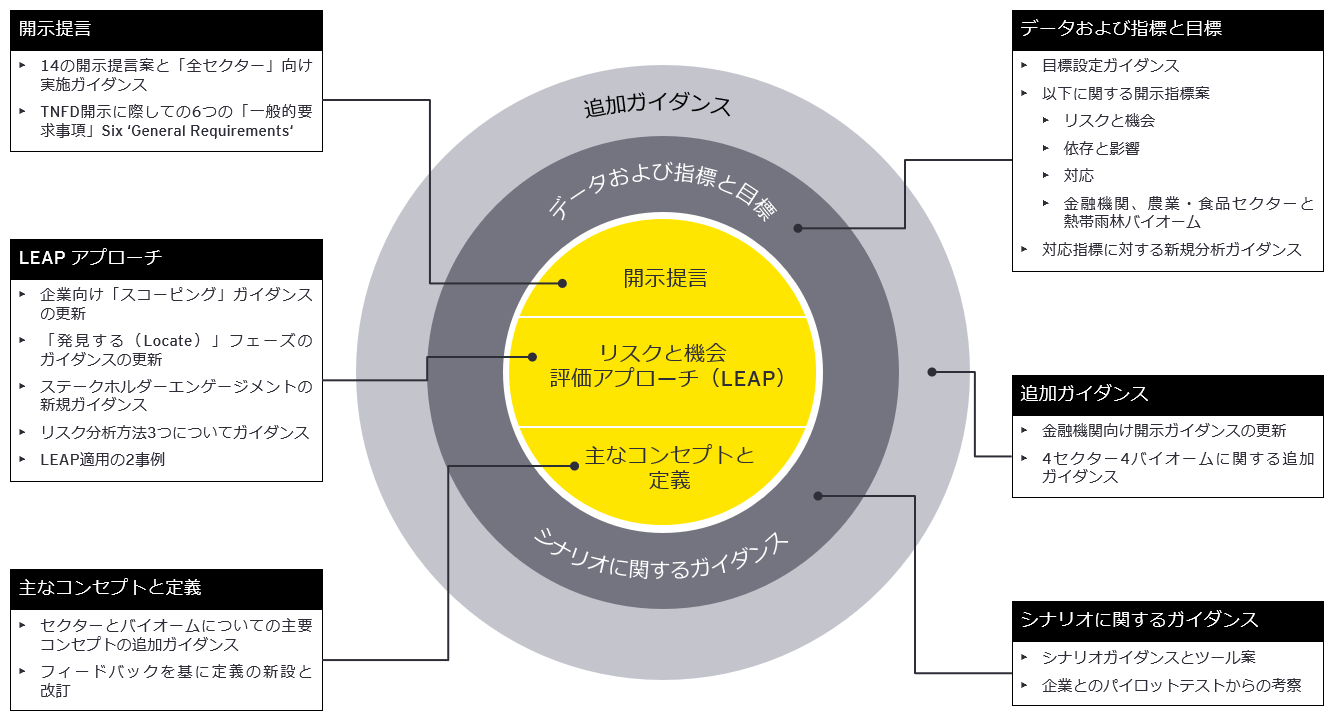 図1　TNFDフレームワークのコア構成要素とv0.4版での新規発表内容