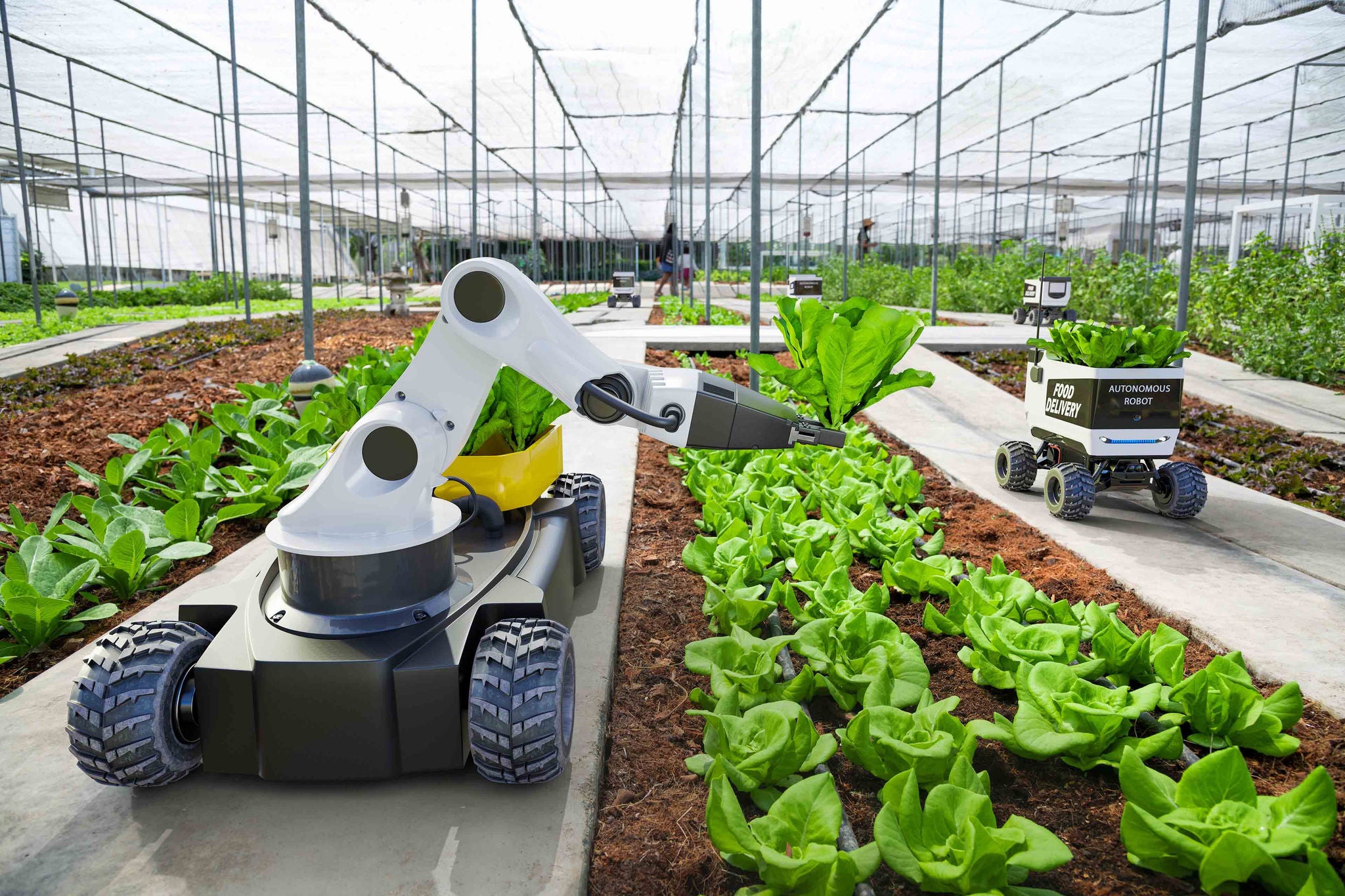 Agriculture robotic working in smart farm