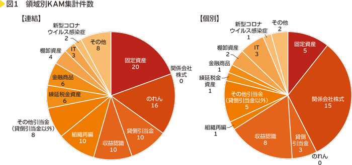 図1　領域別KAM集計件数