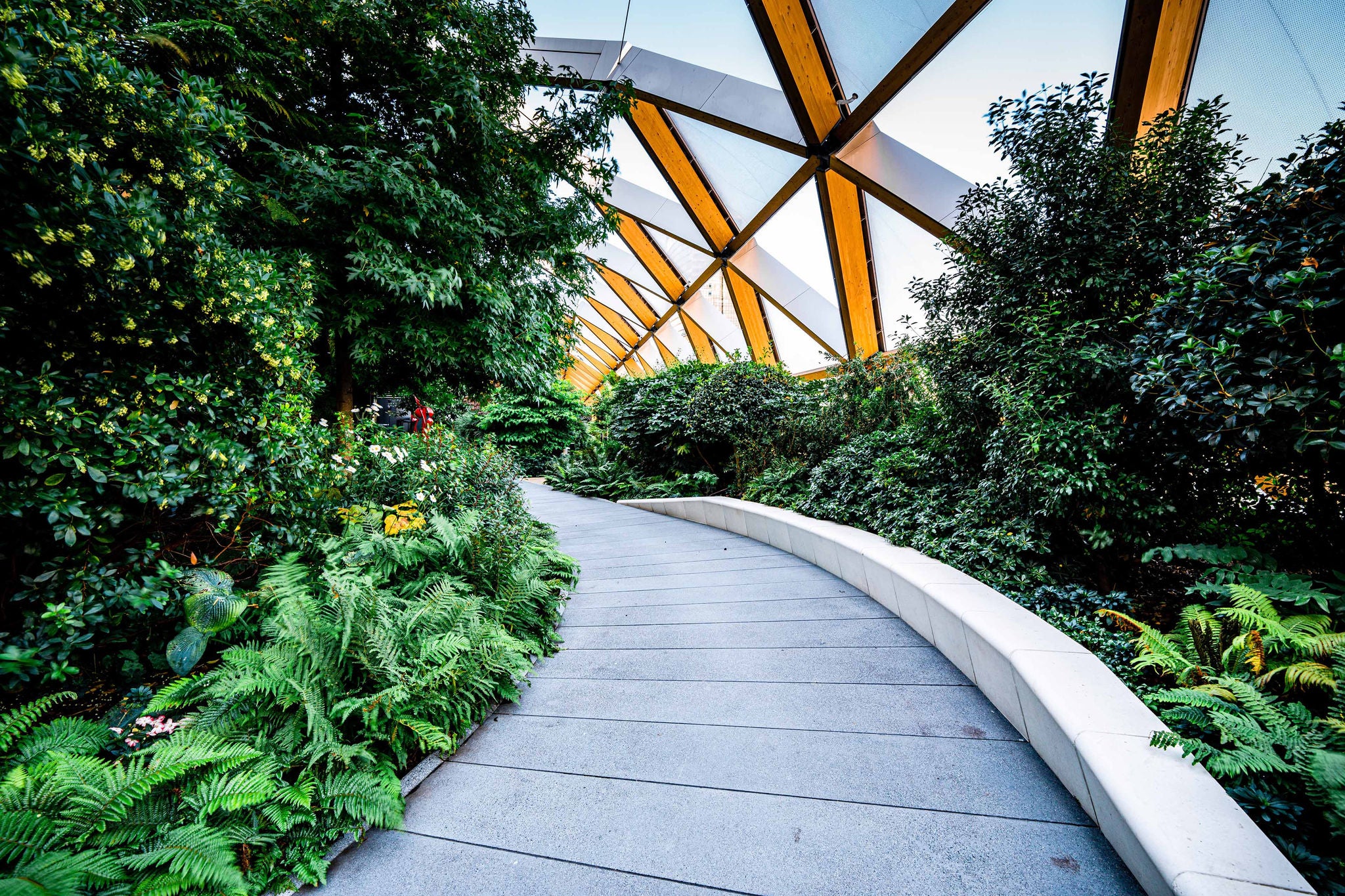 High-tech timber structure above a public park in Canary Wharf London