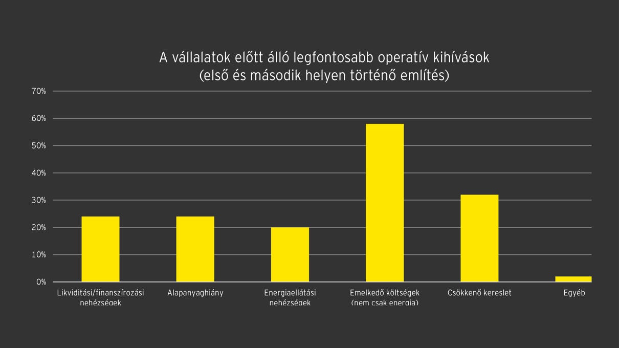 EY Kutatas Energia Koltsegek Operativ kihivasok