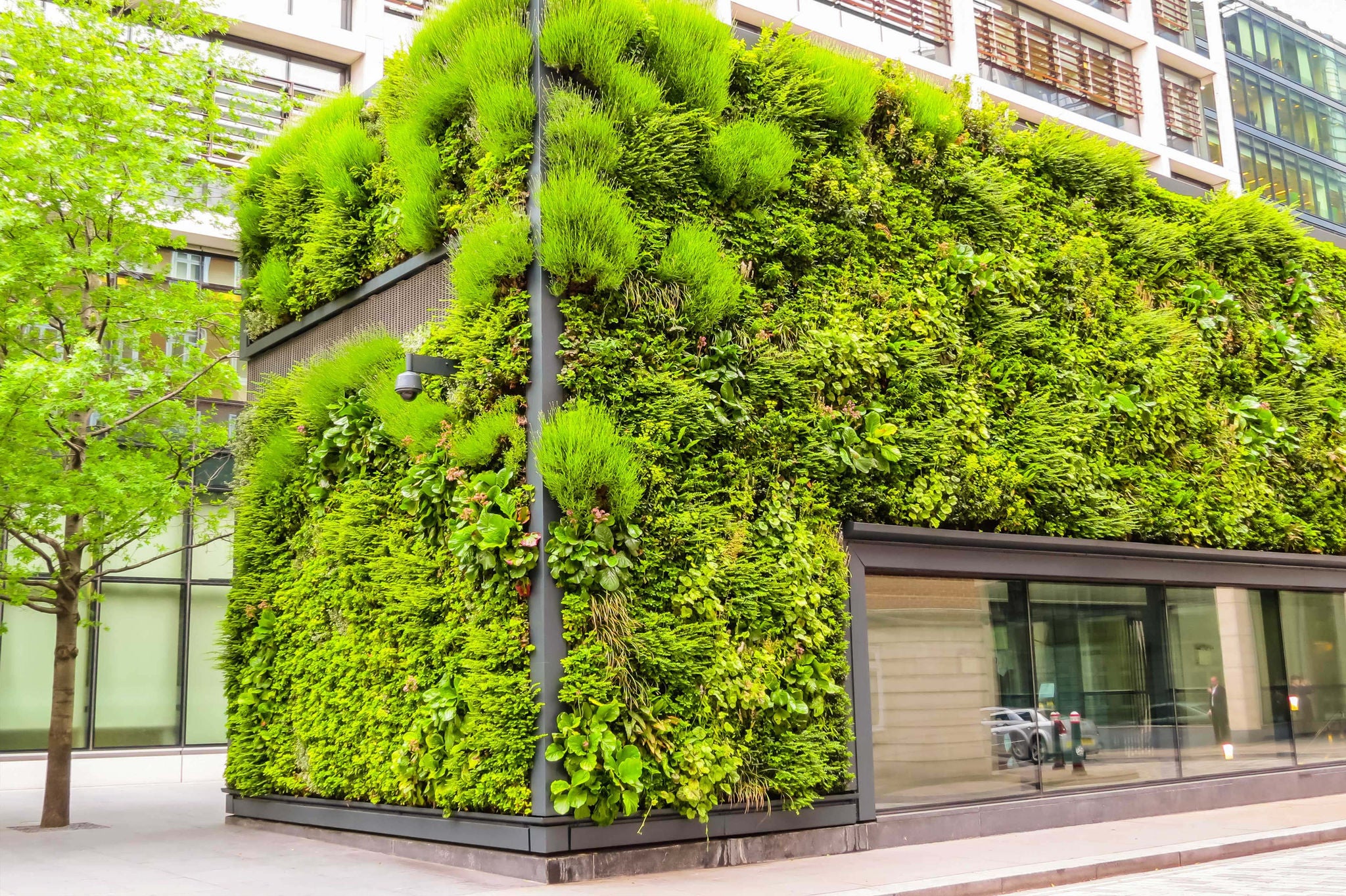 ey-green-living-facade-of-the-building-ch