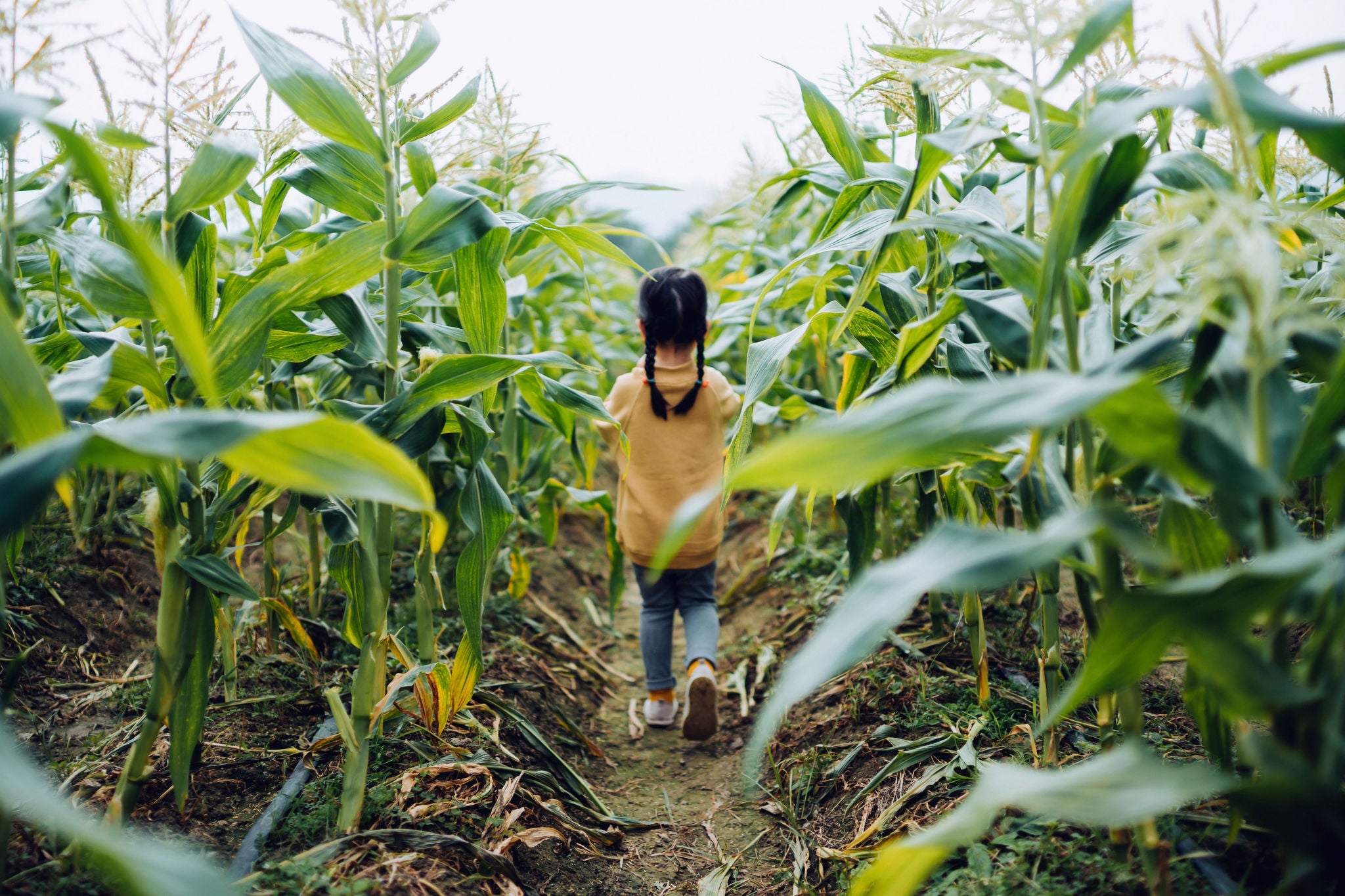 girl walking in garden