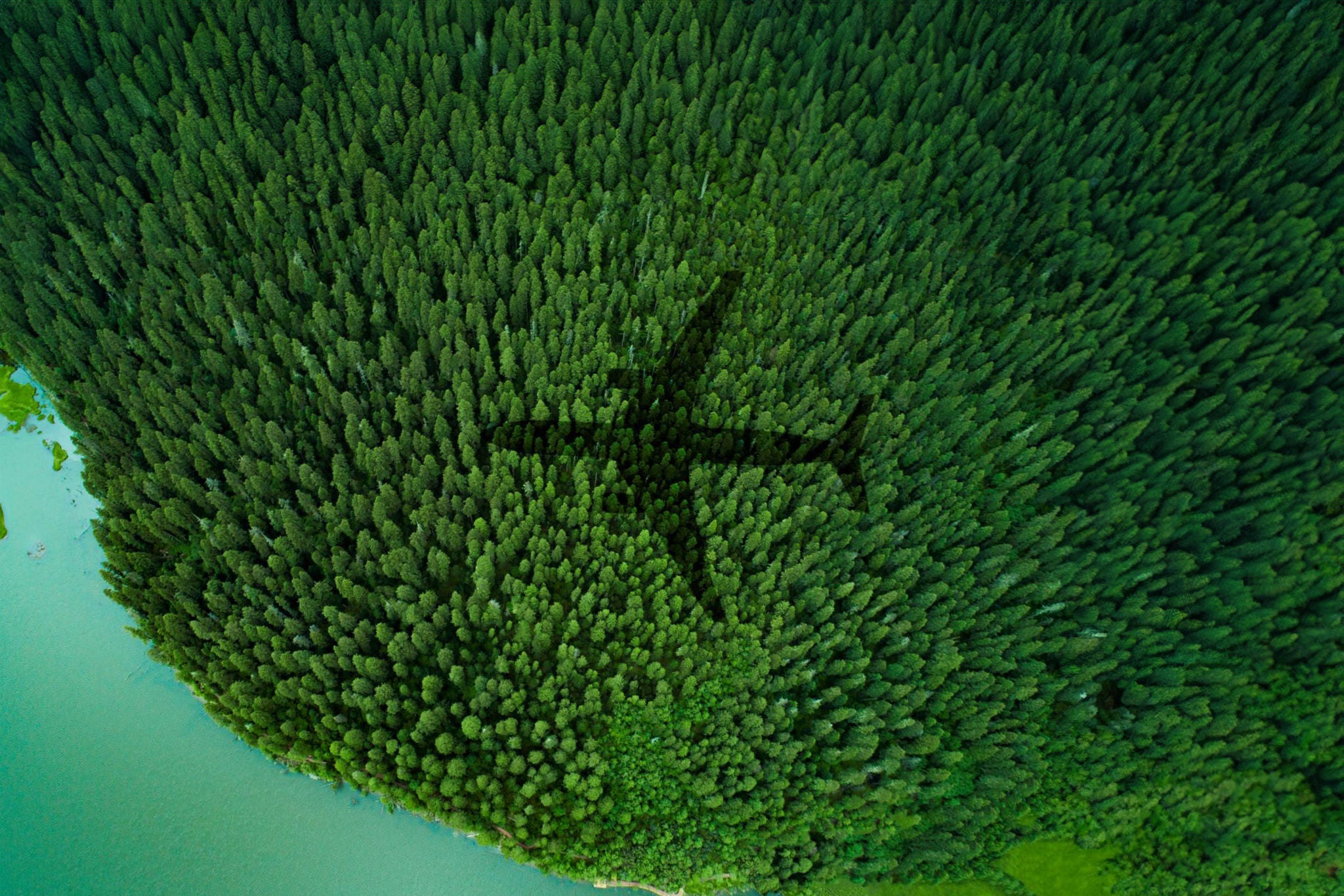 ey shadow airplane over forest and lake