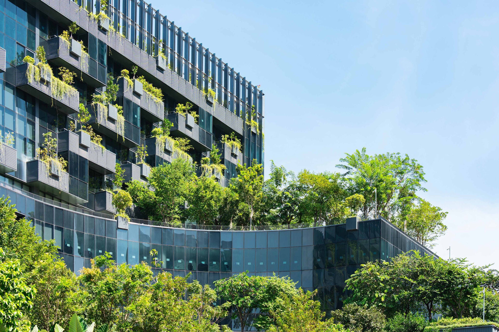 Modern building with green plants