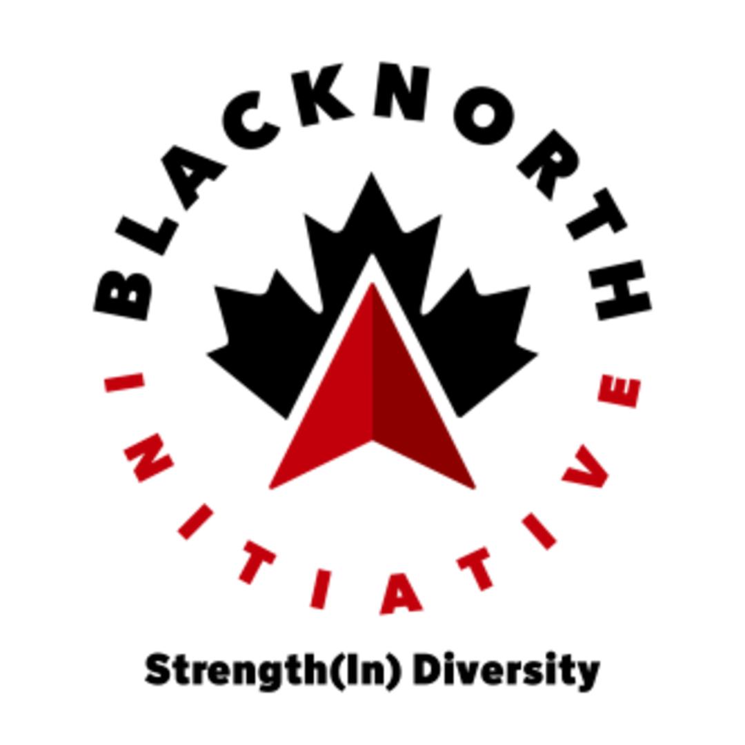 Blacknorth initiative strength diversity