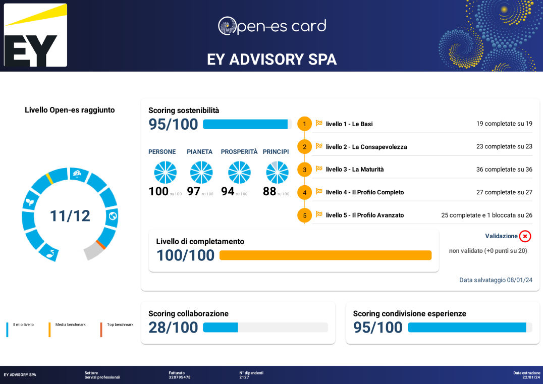 EY Advisory SPA scoring