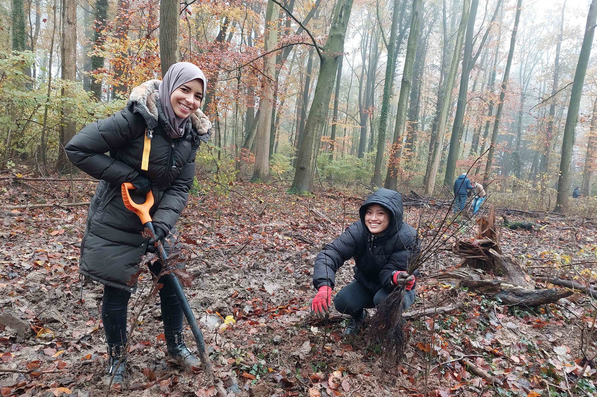 Leden van de Lite Terra-geleden van de Lite Terra-gemeenschap planten bomen