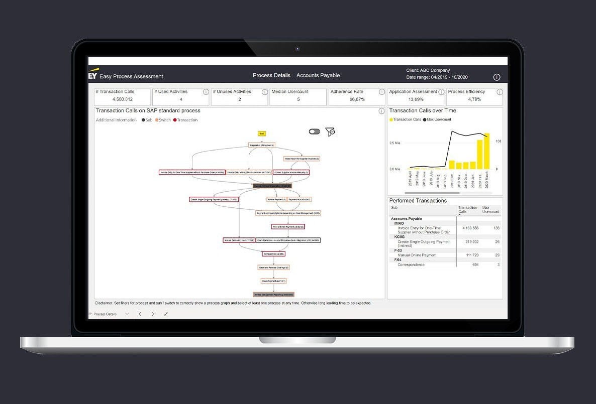 ey-easy-process-assessment-screenshot2