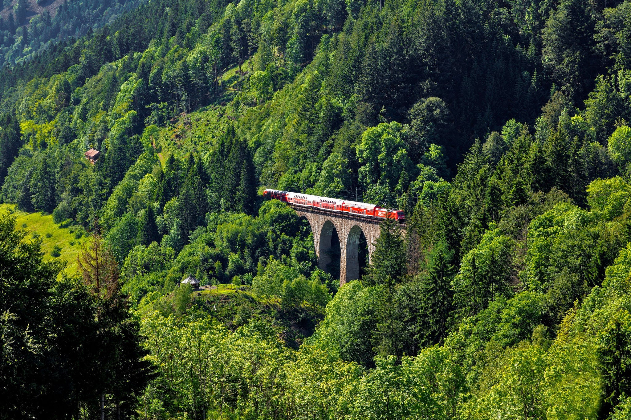 Zug auf Brücke im Wald