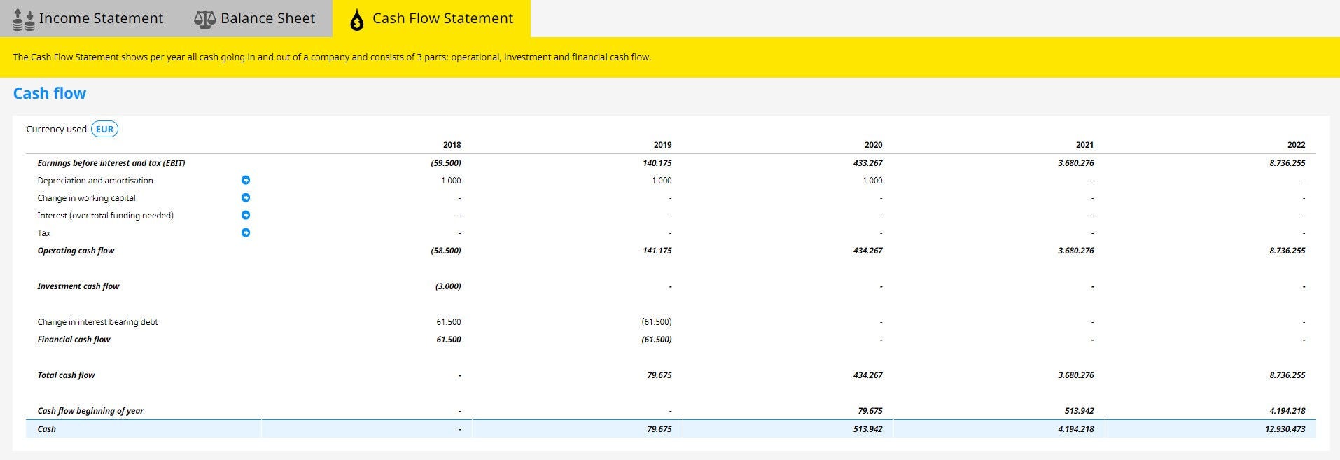 EY cash flow statement