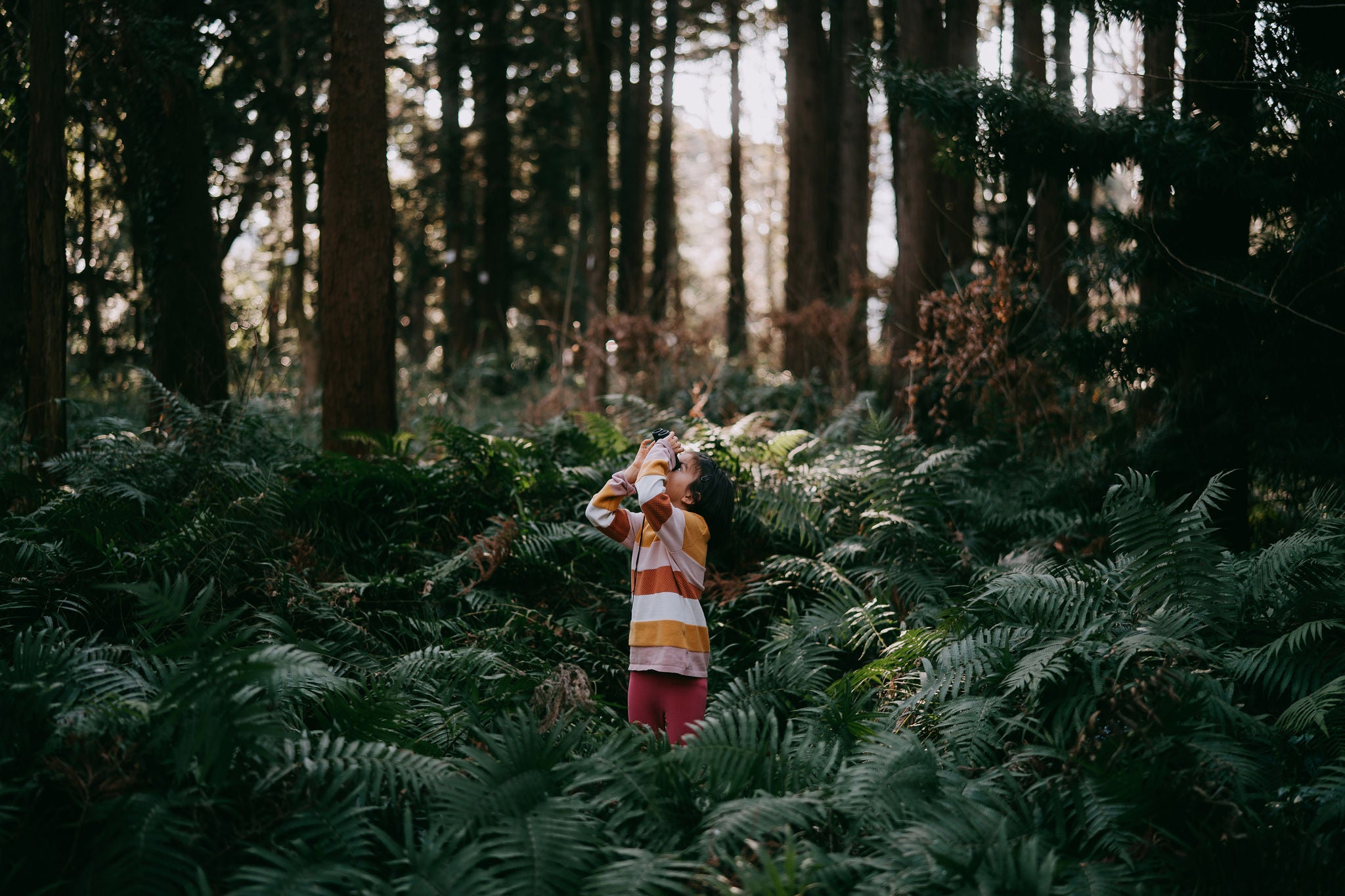 Young girl looking through binoculars in forest in winter, Tokyo