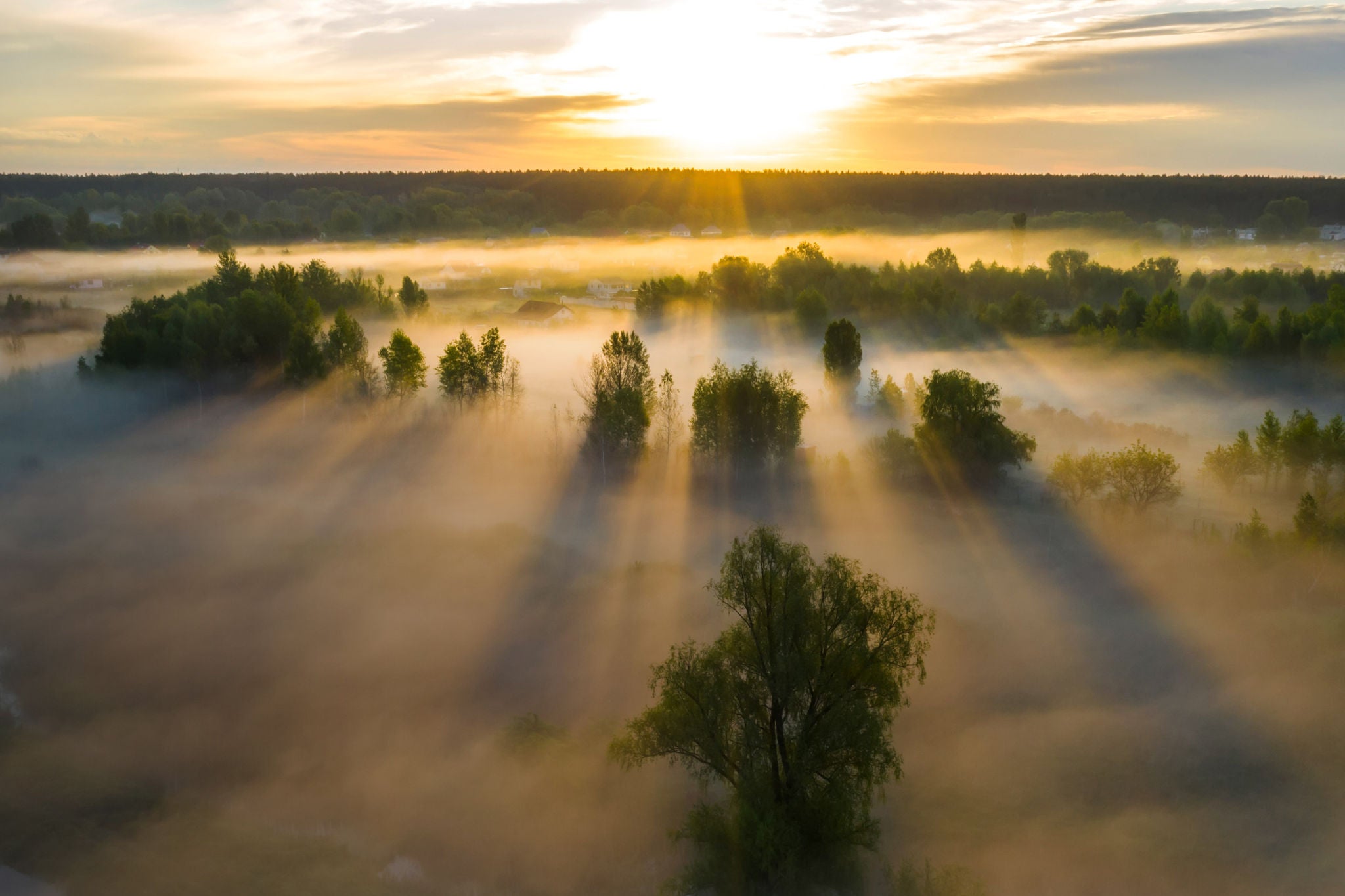 Aerial view of misty dawn in the spring