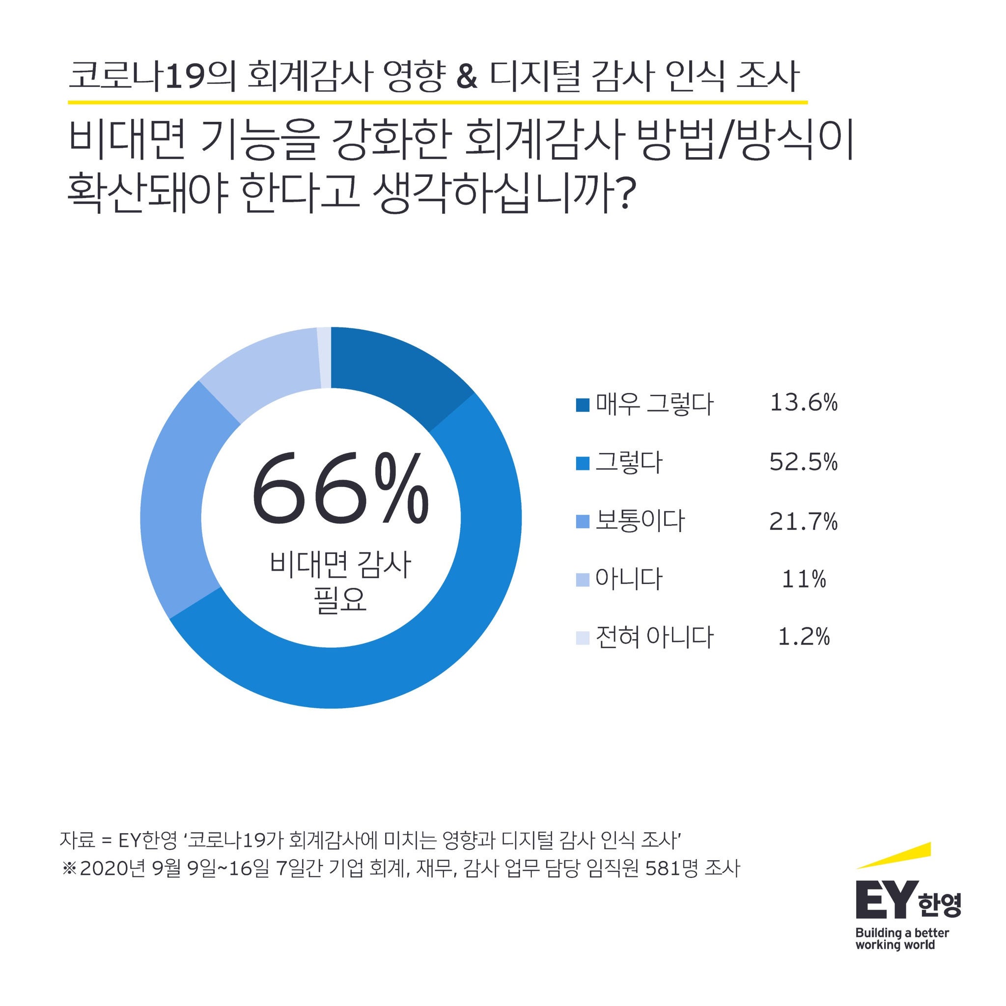 ey-digital-audit-survey_3