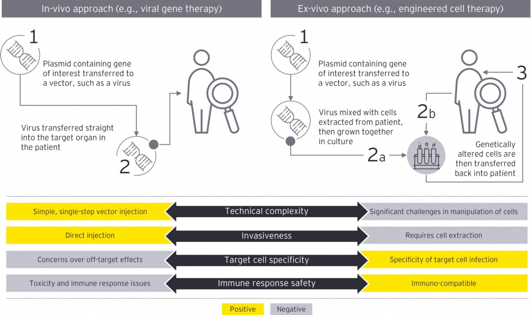 Chart-for-ey-com-life-sciences-article-overview-of-cell-and-gene-therapy